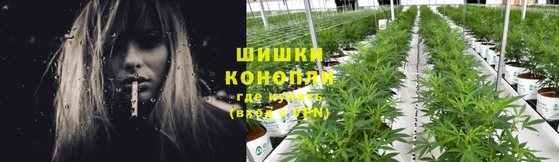 Конопля White Widow  Среднеуральск 